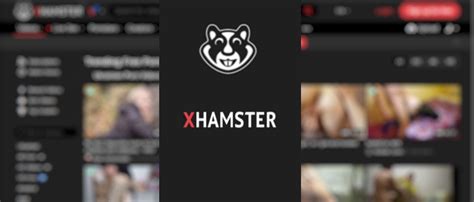 vhamster|Best Porn Channels: Sex Video Producers & Creators